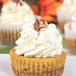 zoomed in image of mini pumpkin cheesecakes on a white plate with a red and orange sunflower behind it